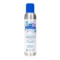 Assainissant désodorisant lavande romarin spray 250ml