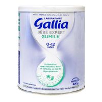 Lait Gumilk Expert 400g