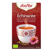 17 sachets échinacée