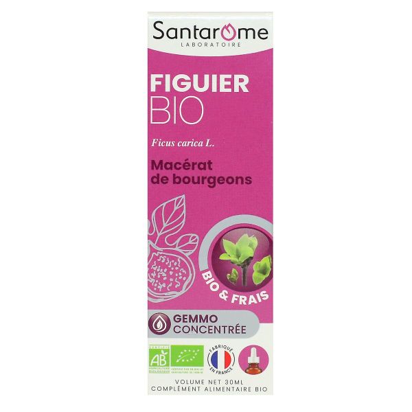 Figuier bio macérat de bourgeons bio et frais 30ml